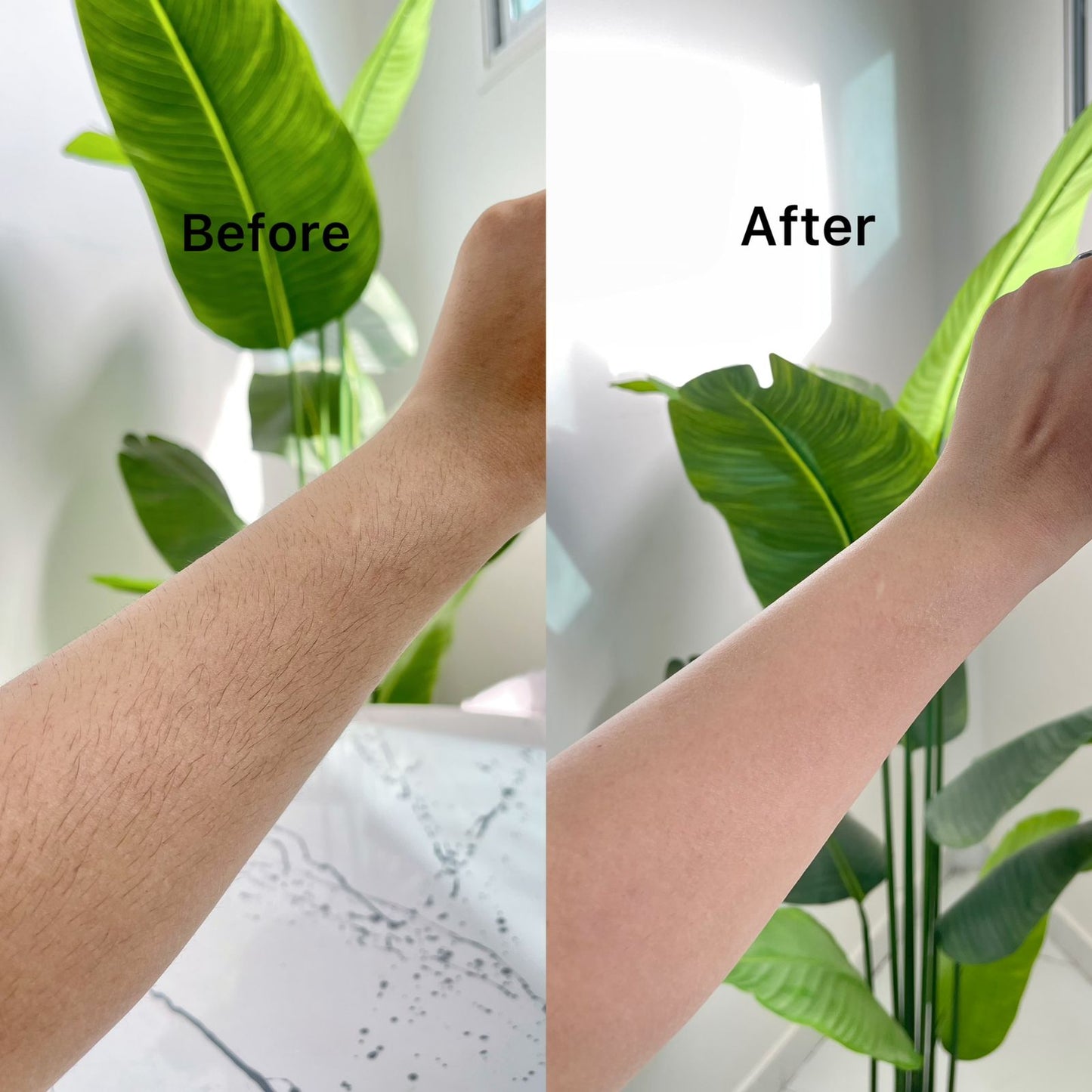 Aloe Vera Cream Wax